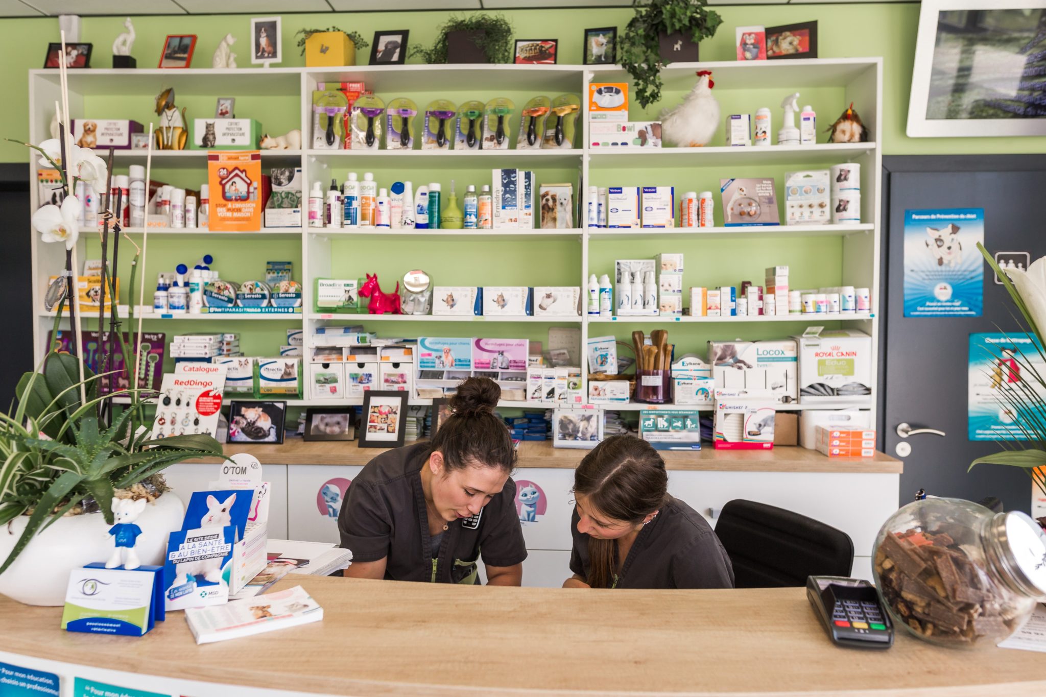 La clinique Clinique vétérinaire SaintNicolas