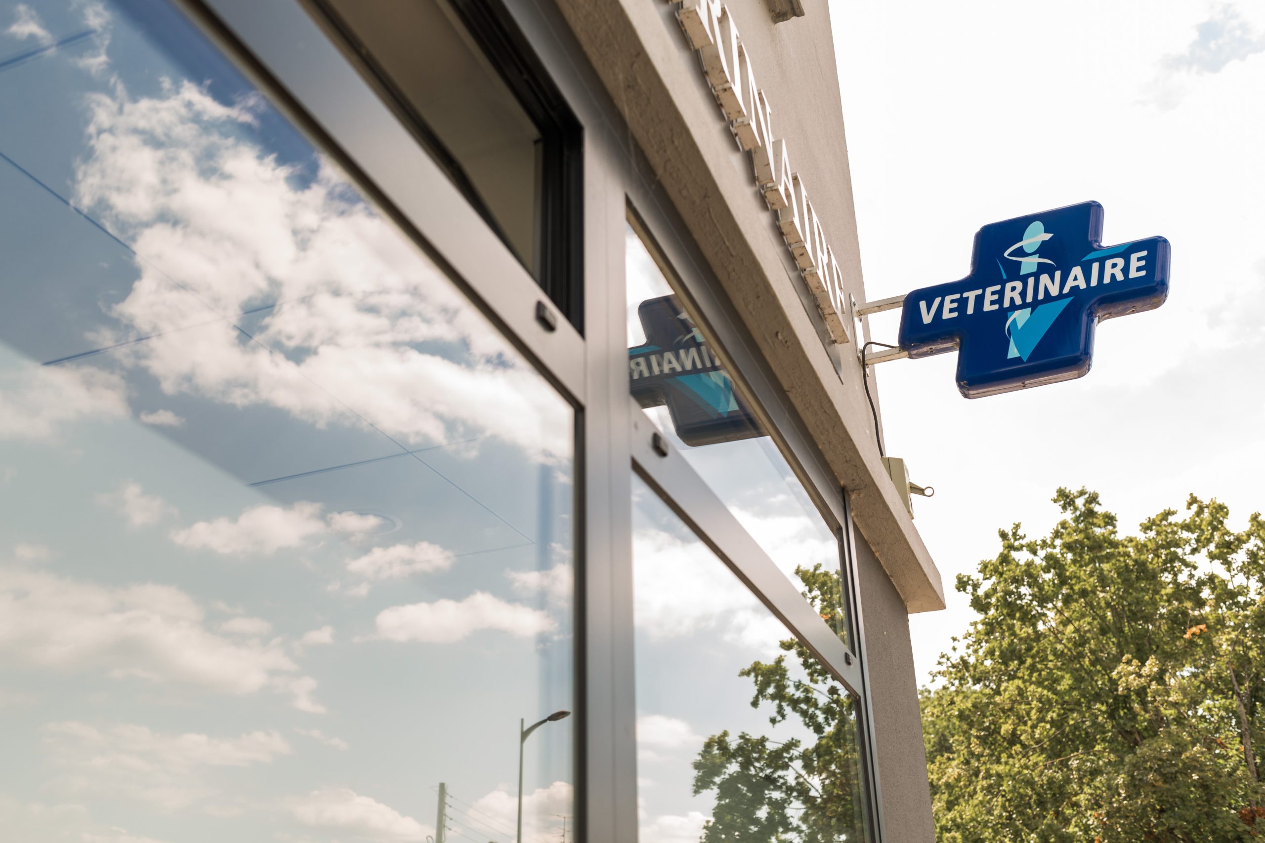 La clinique – Clinique vétérinaire Saint-Nicolas