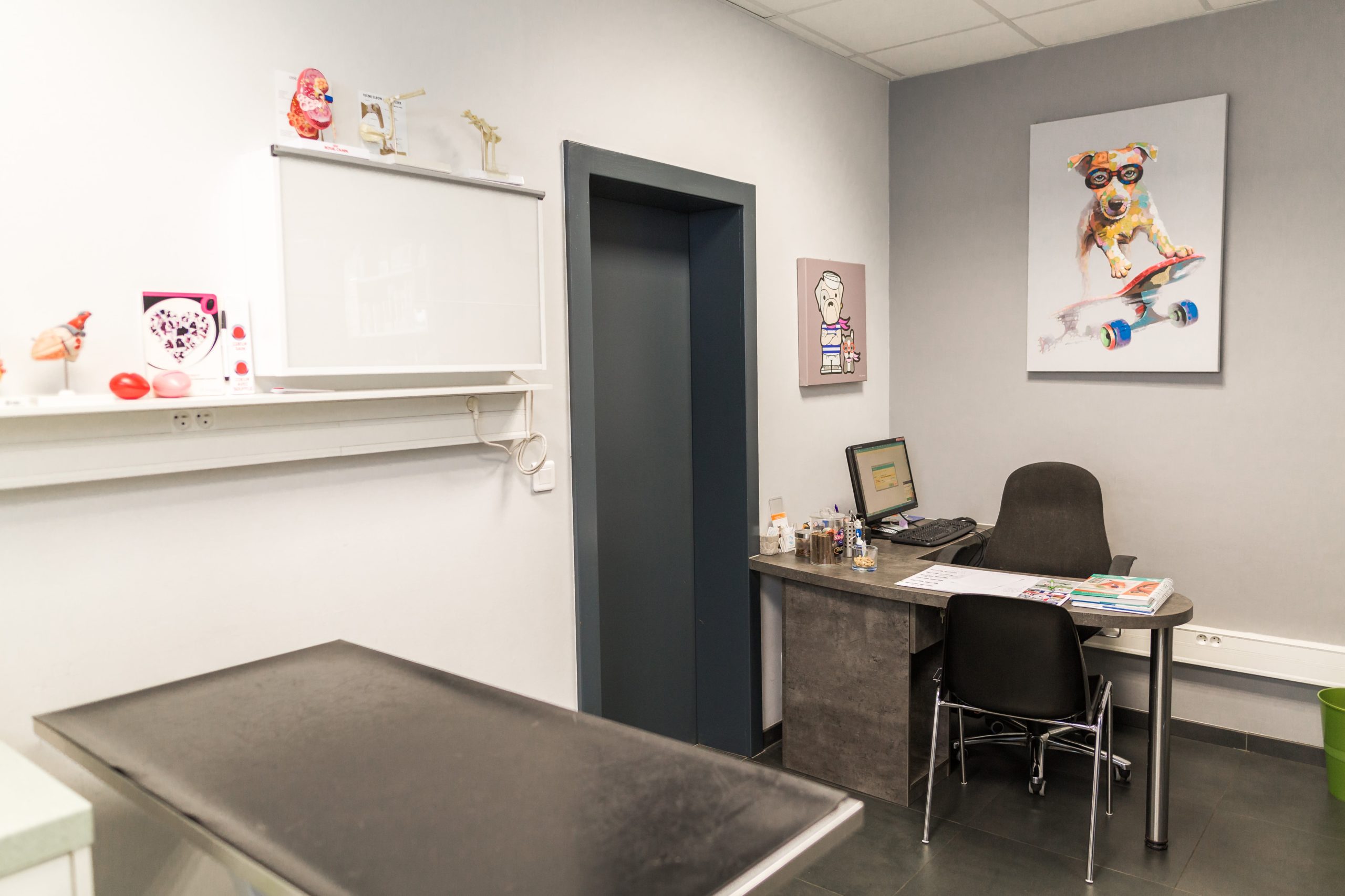 La clinique – Clinique vétérinaire Saint-Nicolas